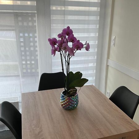 Apartament „Dwie Wieze” Apartment Катовице Екстериор снимка