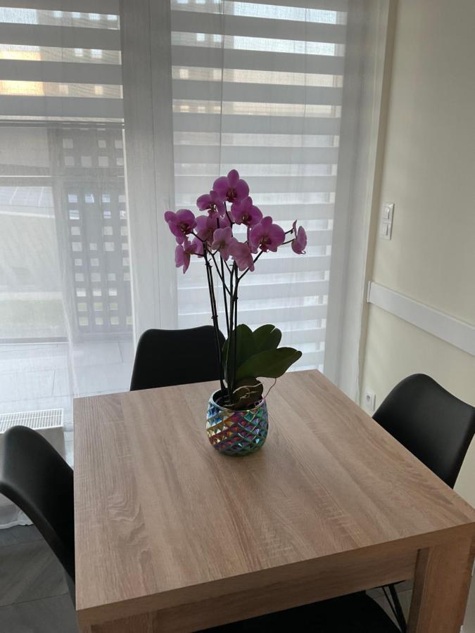 Apartament „Dwie Wieze” Apartment Катовице Екстериор снимка